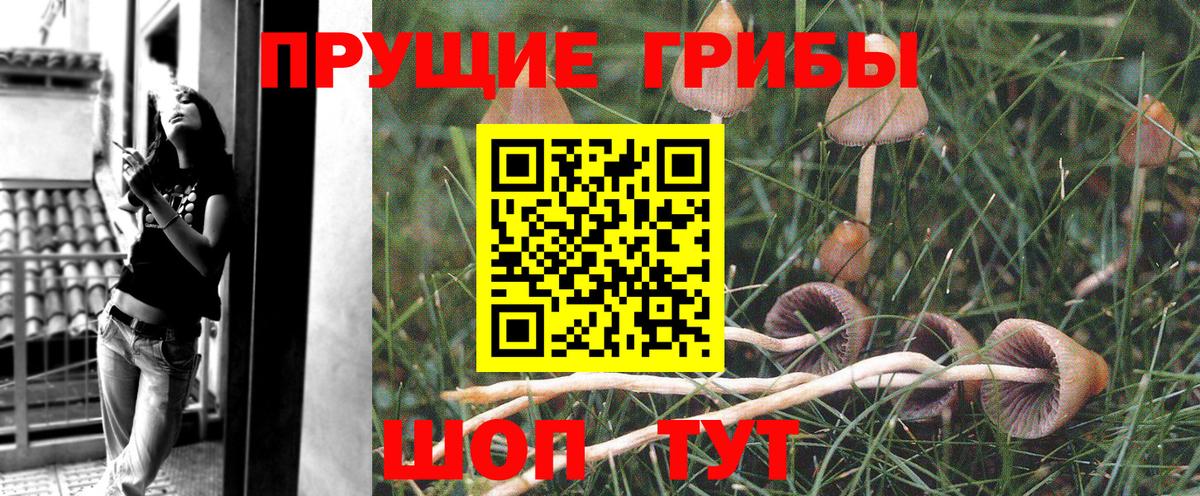 Галлюциногенные грибы мухоморы  Вход с VPN  Лысьва  Псилоцибиновые грибы GOLDEN TEACHER 