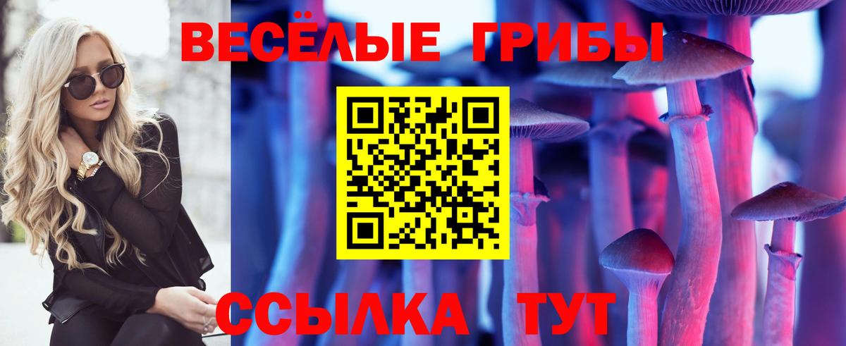 Псилоцибиновые грибы прущие грибы Лысьва